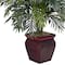 3.16ft. Areca Plant with Decorative Red Planter